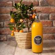 Sicily Mandarin Juice - 100 cl